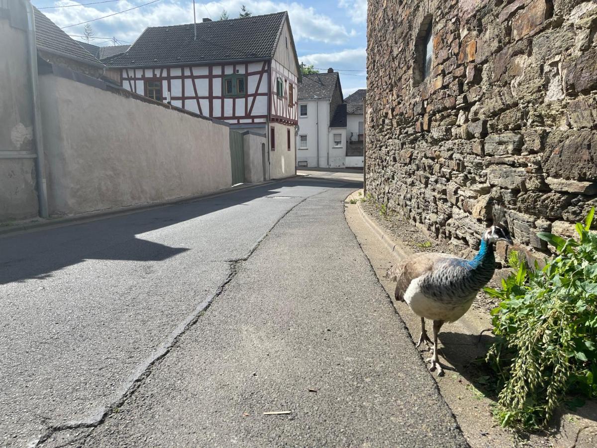 Bed and Breakfast Keller Hoehe Andernach Zewnętrze zdjęcie